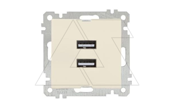 21 - Розетка 2xUSB Type A, сл.кость 21 - Розетка 2xUSB Type A, сл.кость
