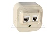 Quteo - Розетка двойная RJ11+RJ45 5E UTP, накладной монтаж, сл. кость от интернет-магазина amperkin.by
