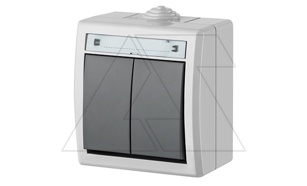 AQUANT - Выключатель двухклавишный, 10A/250V, ABS ,UV, IP55, корпус RAL7035/кнопка RAL7043