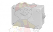 Коробка разветвительная JUNCTION BOX 150х110х70, IP55 от интернет-магазина amperkin.by