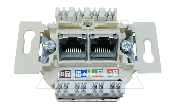 Basic 55 - Розетка 2хRJ-45 UTP CAT6 (лицевая накладка заказывается отдельно)