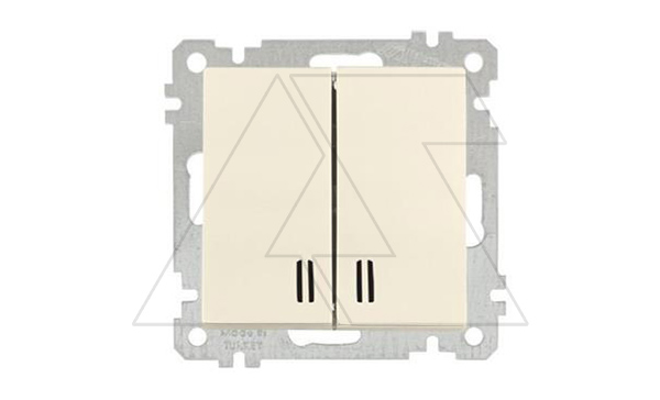 21 - Выключатель двухклавишный с подсветкой, пруж. зажимы, сл.кость 21 - Выключатель двухклавишный с подсветкой, пруж. зажимы, сл.кость