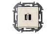 Inspiria - Зарядное устройство с двумя USB-разъемами Type A + Type C, 3000mA, 5В (сл.кость) от интернет-магазина amperkin.by