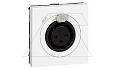 Mosaic - Аудиорозетка с разъемом XLR 3-контактная, 2М, винт.зажим, белый от интернет-магазина amperkin.by