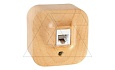 Quteo - Розетка телеф. 1хRJ-11 4 конт. (дерево) (стикерованный) от интернет-магазина amperkin.by