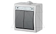 AQUANT - Выключатель двухклавишный, 10A/250V, ABS ,UV, IP55, корпус RAL7035/кнопка RAL7043 от интернет-магазина amperkin.by