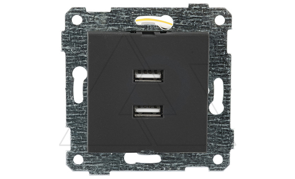 Rita - Розетка 2xUSB Type A, черный мат