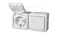 Quteo - Выключатель + Розетка 2P+E защ. шторки, IP44,накладной монтаж, винт. зажимы, белая от интернет-магазина amperkin.by