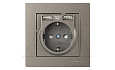 Rita - Розетка 2P+E, с 2xUSB Type A 2,4A (однопостовой монтаж в комплекте с рамкой), антрацит от интернет-магазина amperkin.by