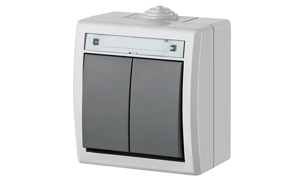 AQUANT - Выключатель двухклавишный, 10A/250V, ABS ,UV, IP55, корпус RAL7035/кнопка RAL7043