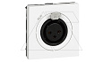 Mosaic - Аудиорозетка с разъемом XLR 3-контактная, 2М, винт.зажим, белый от интернет-магазина amperkin.by