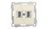21 - Розетка 2xUSB Type A, для передачи данных, сл.кость